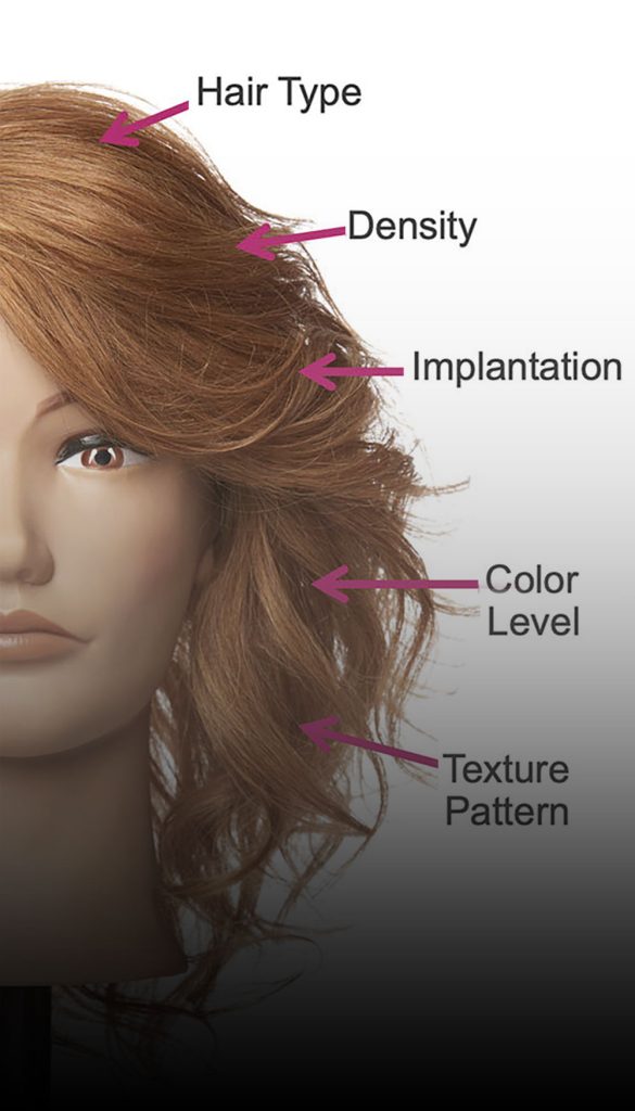 Pivot Point Mannequins have many variations.